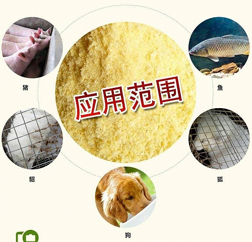 郑州小金猪膨化玉米粉饲料原料厂家宠物粮