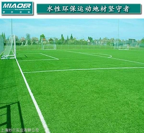 晋江上海专卖塑料草坪仿真施工要求