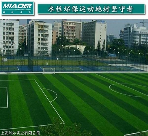 溧阳上海设计塑料草坪体育中心