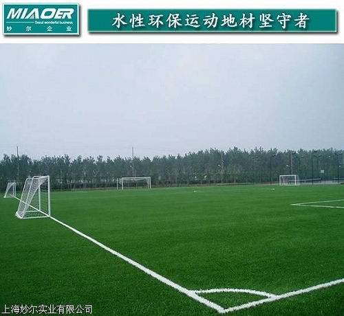 淮上上海投标人造足球草坪体育新闻