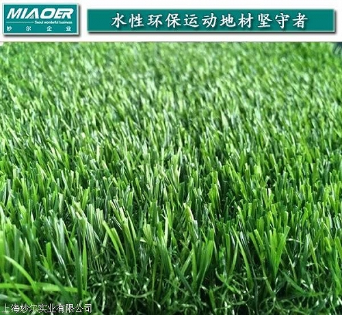 平阳上海安装门球场专用草坪报价清单