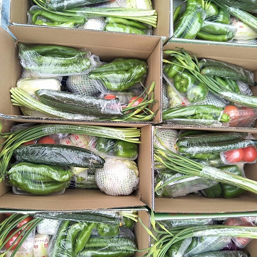 水果礼盒销售济源市蔬菜集装箱销售蔬菜礼盒