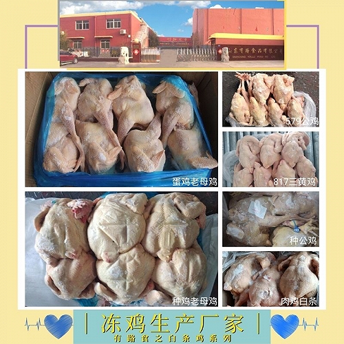 冷凍雞副分割產品|凍雞分割價格山東廠家