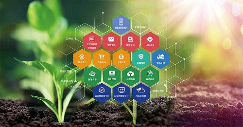 智慧農業產業鏈服務平臺助力農業結構優化