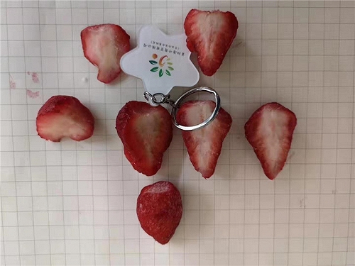 山东工厂直销鲜果速冻冷冻红颜草莓吨位批量出售