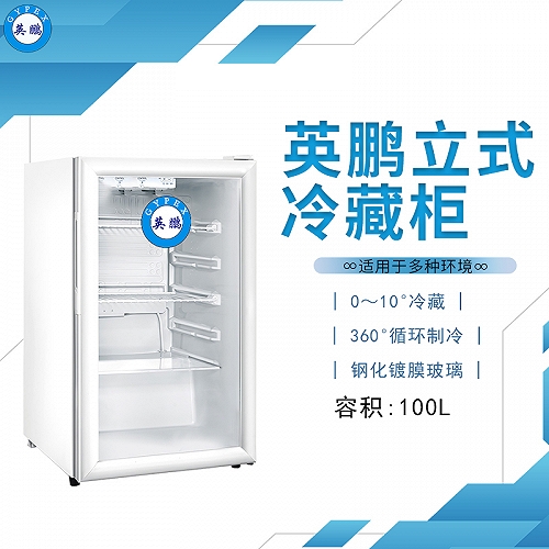 广州英鹏冰箱便利店立式冷藏柜冰柜100L