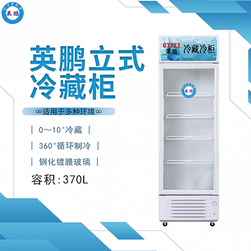 从化英鹏立式冷藏柜玻璃门冰柜-370L
