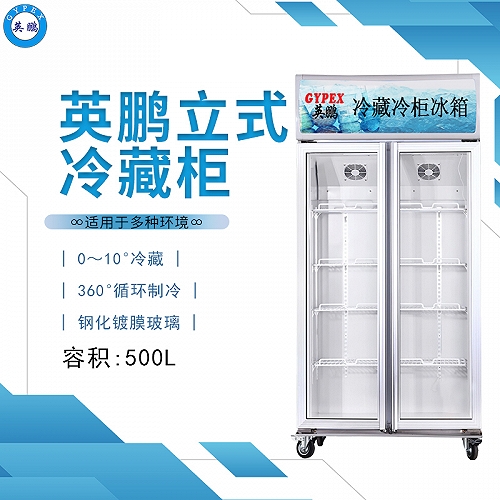 惠州英鹏冰箱立式冷藏柜双门500L