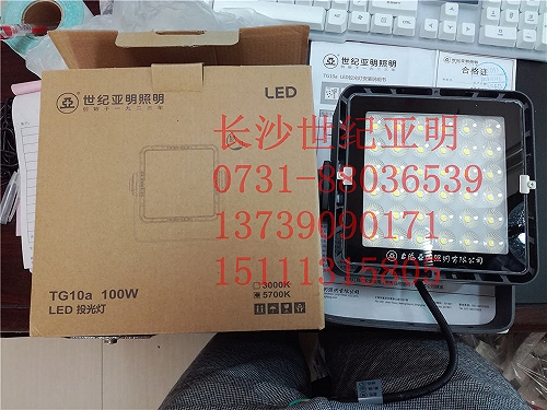 上海世纪亚明LED投光灯模组TG10a