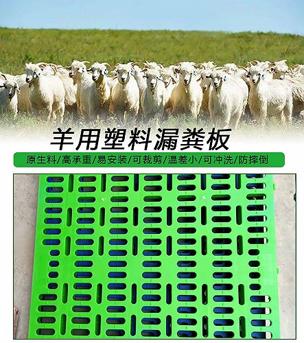 塑料羊床羊用塑料板养殖塑料羊床羊床批发