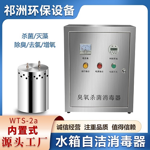 不锈钢水箱自洁消毒器wts-2a臭氧设备